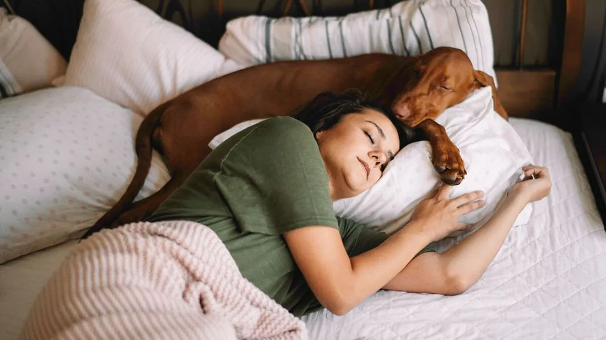 Mensch und Haustier: Warum das gemeinsame Bett mehr ist als nur Kuscheln