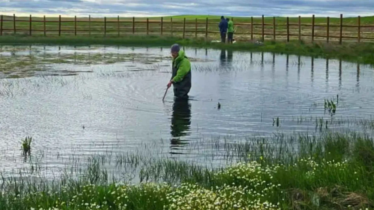 Mediterrane temporäre Tümpel in Südwestportugal: ein vernachlässigter Schatz